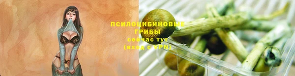 трава Алзамай