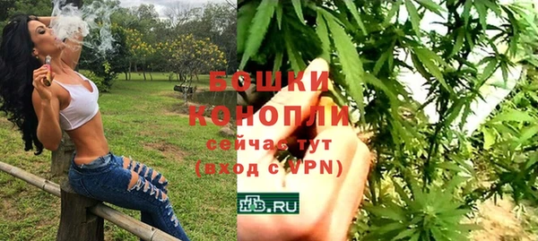 трава Алзамай