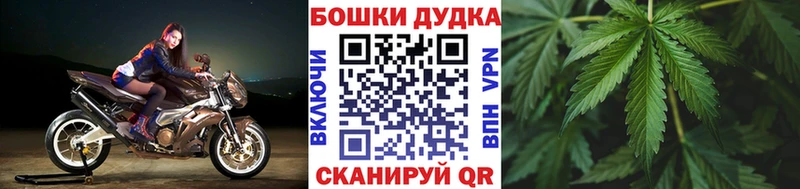 Канабис ГИДРОПОН Почеп